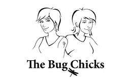 THE BUG CHICKS trademark
