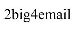 2BIG4EMAIL trademark