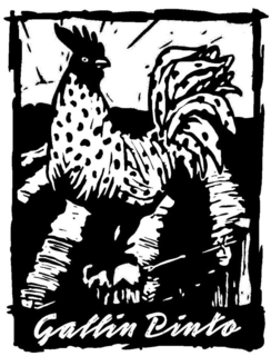 GALLIN PINTO trademark