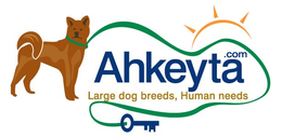 AHKEYTA.COM LARGE DOG BREEDS, HUMAN NEEDS trademark