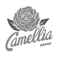CAMELLIA BRAND trademark