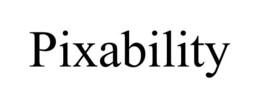 PIXABILITY trademark