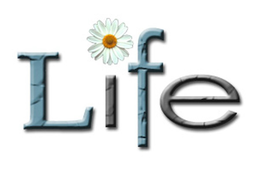 LIFE trademark