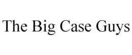 THE BIG CASE GUYS trademark
