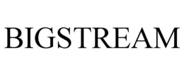 BIGSTREAM trademark