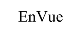 ENVUE trademark
