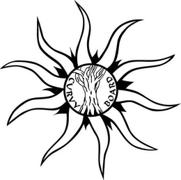 CURVY BOARD trademark