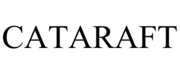 CATARAFT trademark