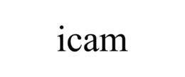 ICAM trademark