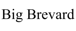 BIG BREVARD trademark