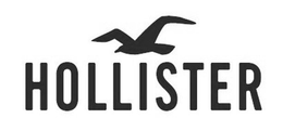 HOLLISTER trademark