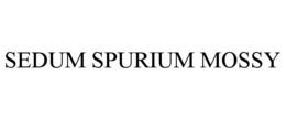SEDUM SPURIUM MOSSY trademark