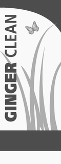 GINGER CLEAN trademark