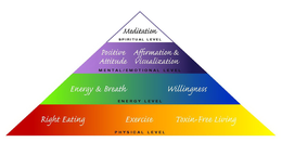 MEDITATION SPIRITUAL LEVEL POSITIVE ATTITUDE AFFIRMATION & VISUALIZATION MENTAL/EMOTIONAL LEVEL ENERGY & BREATH WILLINGNESS ENERGY LEVEL RIGHT EATING EXERCISE TOXIN-FREE LIVING PHYSICAL LEVEL trademark