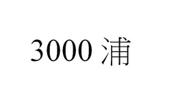 3000 trademark