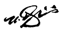 N. GIORGIO trademark