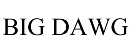 BIG DAWG trademark