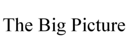 THE BIG PICTURE trademark