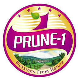 PRUNE-1 BLESSING FROM NATURE trademark