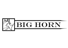 BIG HORN trademark