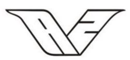 V trademark