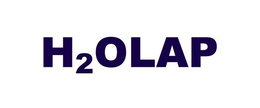 H2OLAP trademark