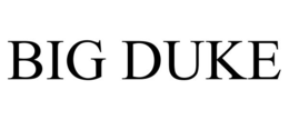 BIG DUKE trademark