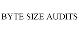 BYTE SIZE AUDITS trademark