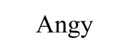 ANGY trademark