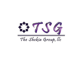 TSG THE SHEKIA GROUP, LLC trademark