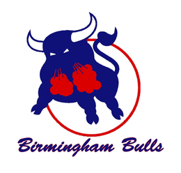 BIRMINGHAM BULLS trademark