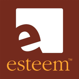 E ESTEEM trademark