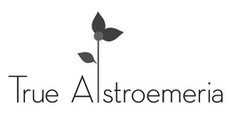 TRUE ALSTROEMERIA trademark