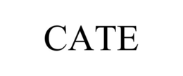 CATE trademark
