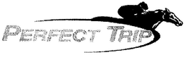 PERFECT TRIP trademark