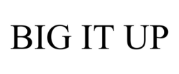 BIG IT UP trademark