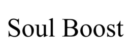 SOUL BOOST trademark