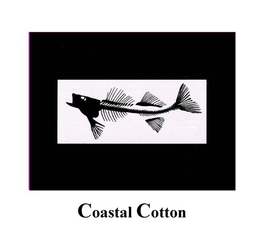 COASTAL COTTON trademark