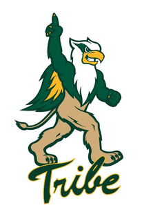 TRIBE trademark