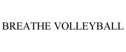 BREATHE VOLLEYBALL trademark