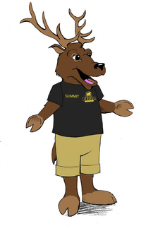 SUMMIT IDAHO PIZZA COMPANY trademark