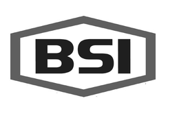 BSI trademark