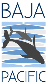 BAJA PACIFIC trademark