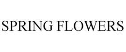 SPRING FLOWERS trademark