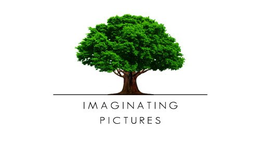 IMAGINATING PICTURES trademark