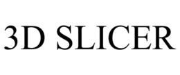 3D SLICER trademark