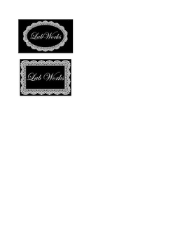 LAB WORKS trademark