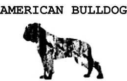 AMERICAN BULLDOG trademark