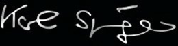 KARL SPRINGER trademark