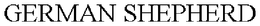GERMAN SHEPHERD trademark